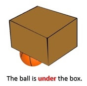 Under the box