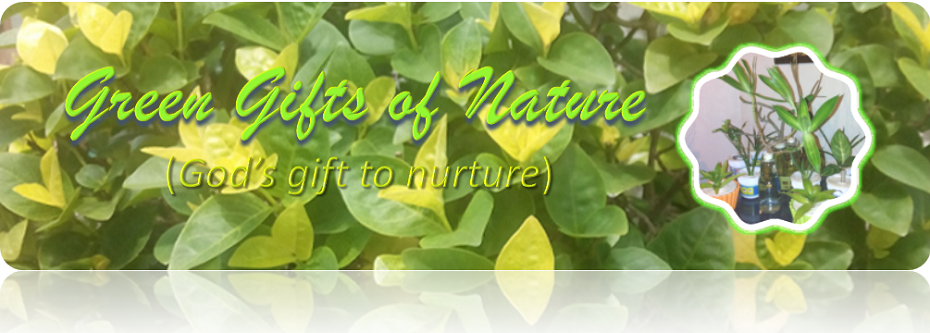 Green Gifts of Nature (God's gift to nurture)