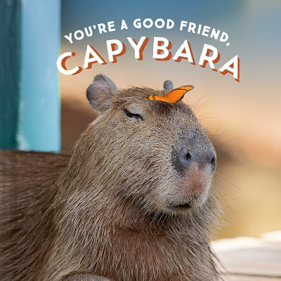 You're a Good Friend, Capybara