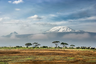 African Safari Honeymoon