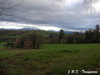 Paisaje camino de Tineo