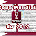 COPA DO MUNDO DE 2022 - TEXTOS E ATIVIDADES PARA IMPRIMIR