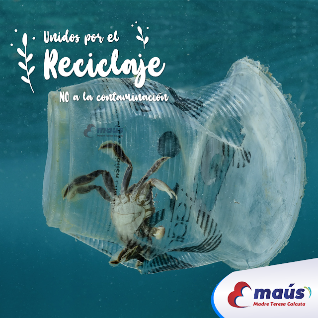 Unidos por el reciclaje