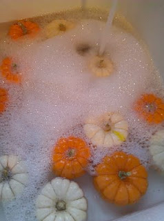 http://sweetwaterstyle.blogspot.com/2011/10/trick-for-making-pumpkins-last.html