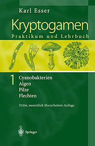 Kryptogamen 1: Cyanobakterien Algen Pilze Flechten Praktikum und Lehrbuch