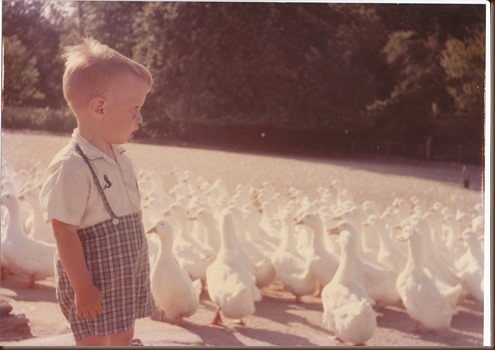 David with the ducks