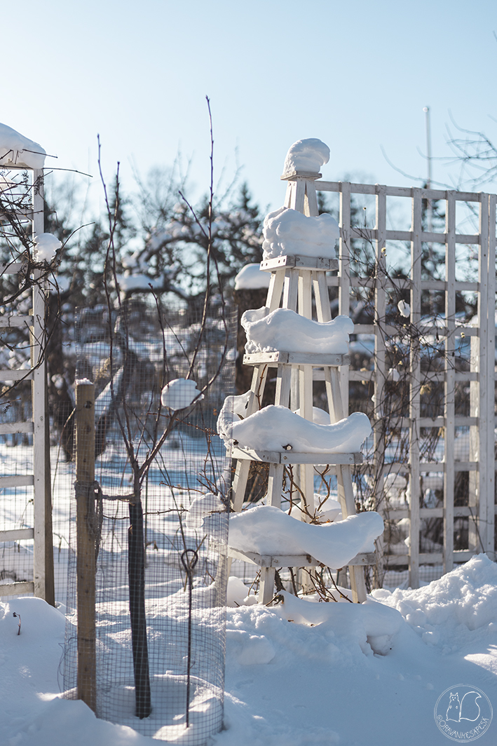 siirtolapuutarha köynnöstuki obeliski