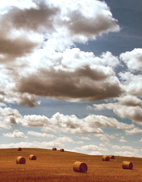 Saskatchewan Prairie Photography