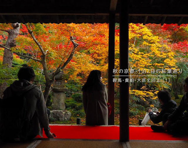 圓光寺の紅葉