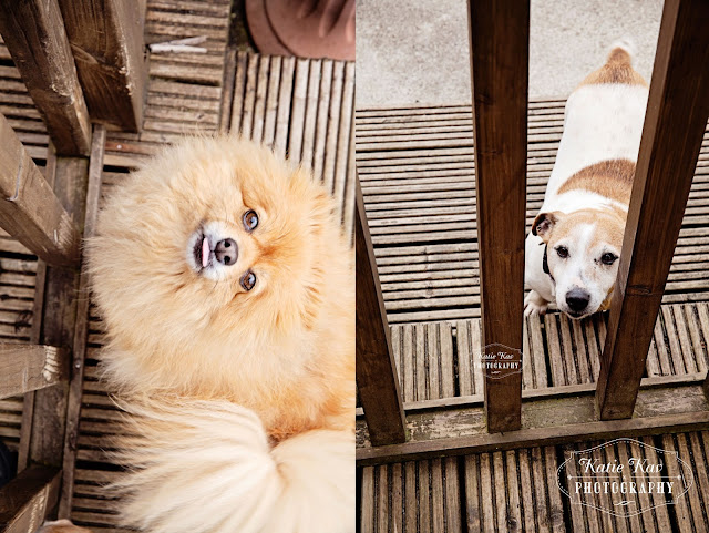 dungarvan wedding photographer