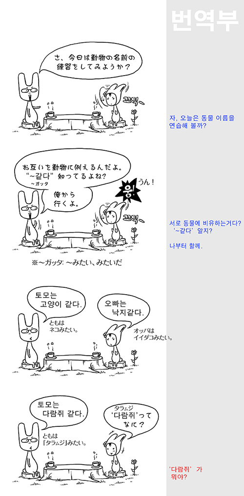 Usagi Post 우사기 ウサギ 한국어 연습 韓国語練習