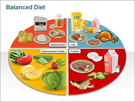 ... /s1600/Balanced-Diet-PPT-Chart-Nutritional-Food-Illustrations.jpg