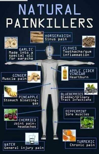20 Natural Painkillers List