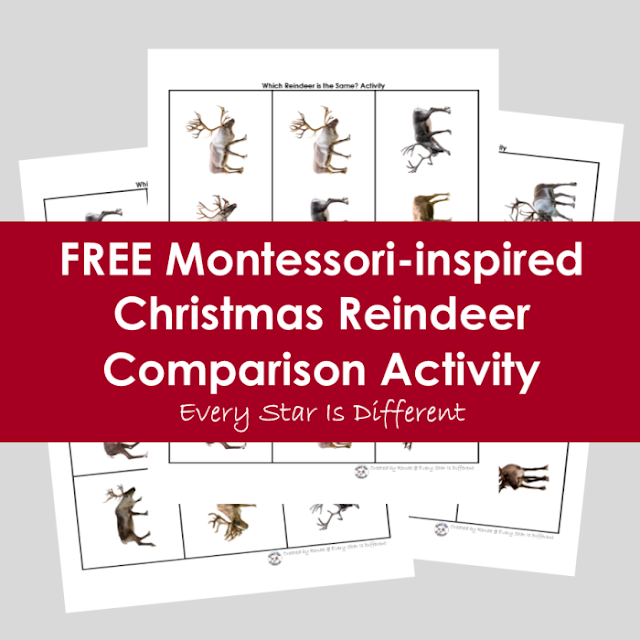 FREE Christmas Reindeer Comparison Activity