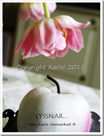LyssnarSgn