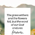 Bible verses about Flowers