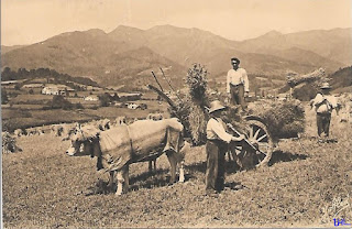 pays basque autrefois agriculture