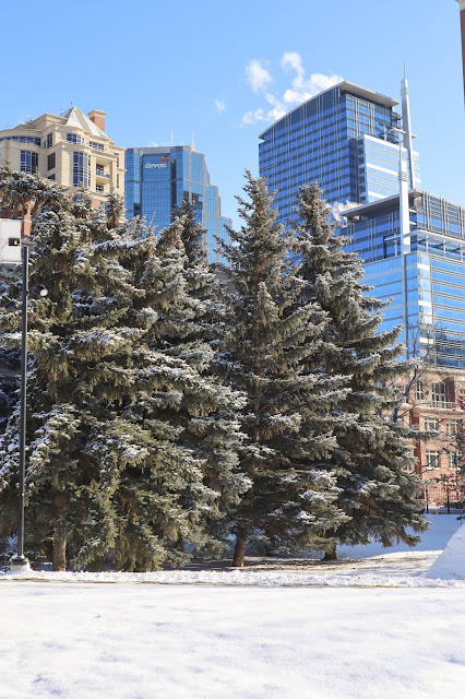 48h in Calgary travel guide 