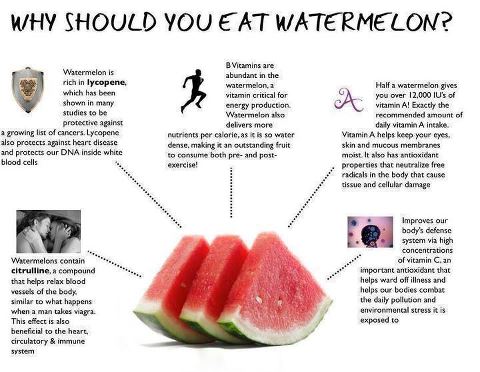 Benefit of Water Melon
