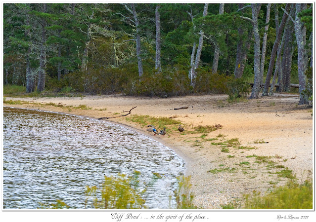 Cliff Pond: ... in the spirit of the place...