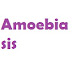 Ayurvedic Treatment For Amoebiasis ( अमीबारुग्णता का आयुर्वेदिक इलाज )