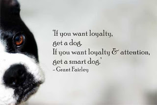 Loyalty Quotes