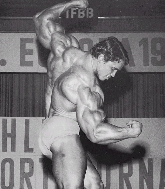 arnold schwarzenegger workout pics. Back: