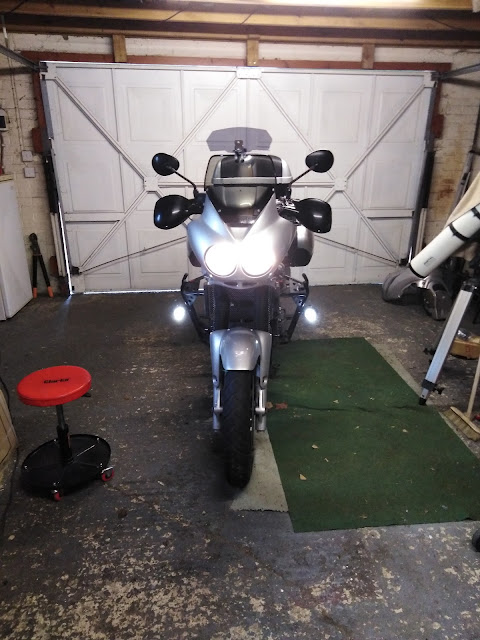 Tiger with headlights and new spotlights on