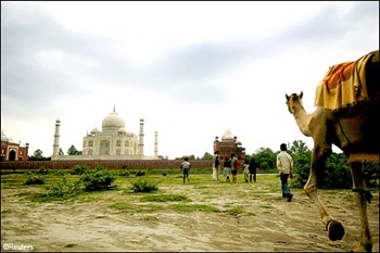 taj -5