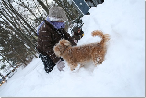 SnowDay-19