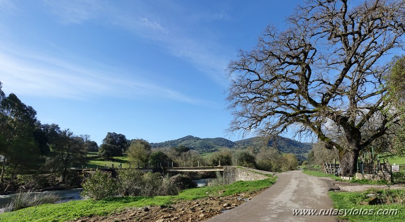 Estación de Cortes - Cañón de las Buitreras - Estación de Gaucín