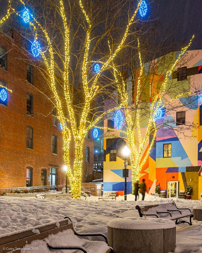 Portland, Maine USA Photo by Corey Templeton. A pleasant stroll past the lights in Tommy's Park last night.