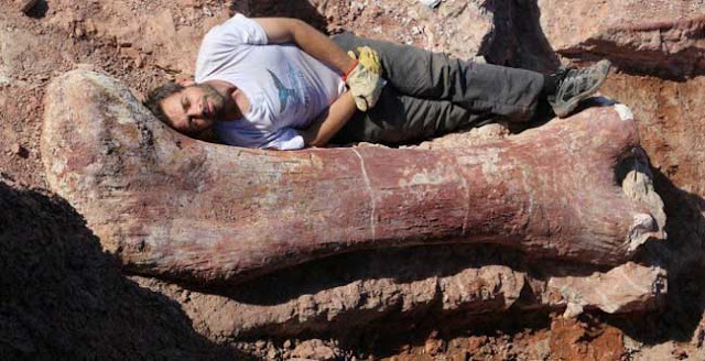 Ahli-ahli sains mencari fosil tersembunyi dinosaur  di kawasan seluas 6000 kilometer persegi