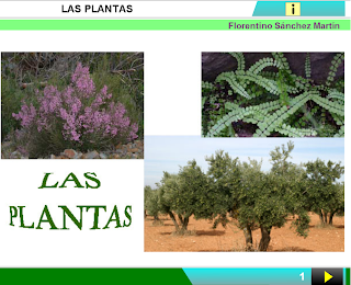 http://cplosangeles.juntaextremadura.net/web/edilim/curso_4/cmedio/las_plantas/las_plantas/las_plantas.html