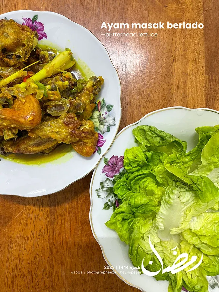 ayam goreng berlada cili api