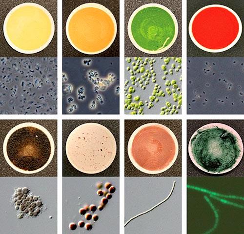 Color Catalog Could Help Scientists Find Aliens