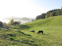 Olatz camino de Santiago Norte Sjeverni put sv. Jakov slike psihoputologija