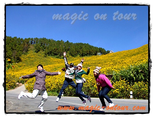 photo magic