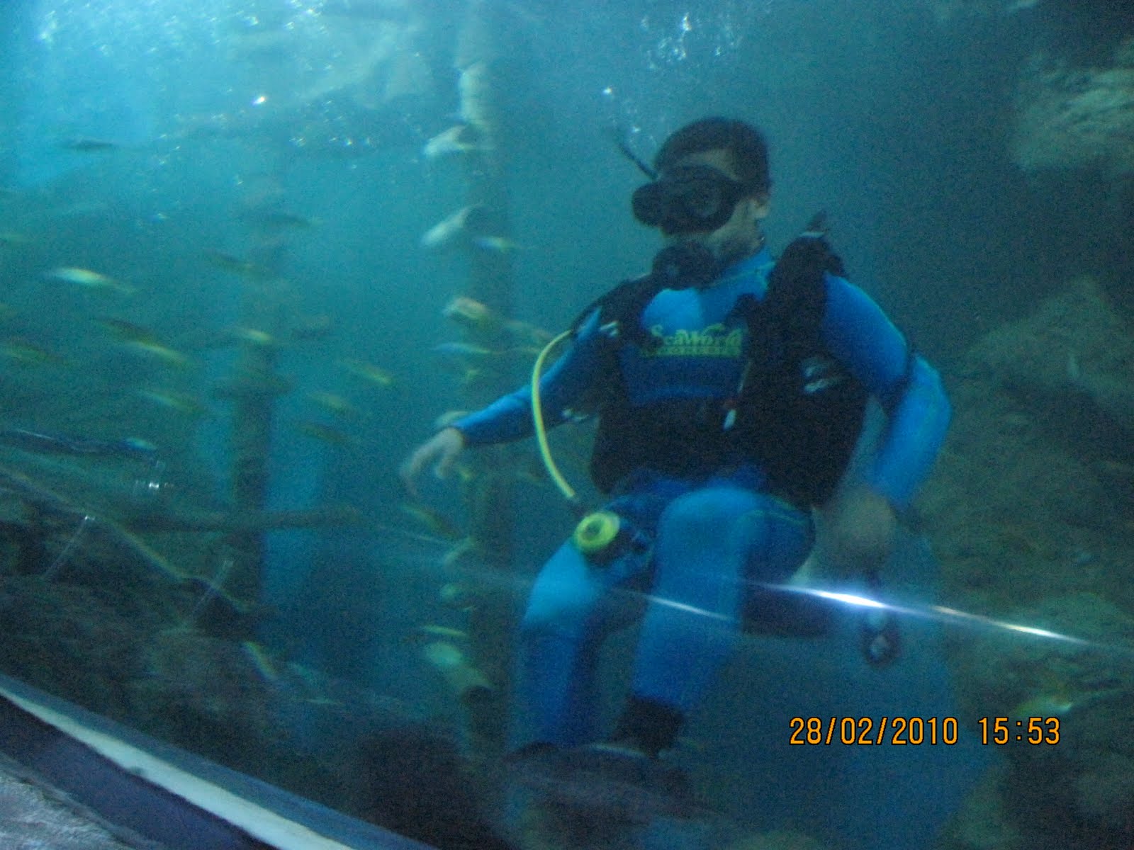 Download this Indonesia Scuba Diving... picture