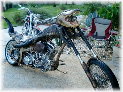 aligator bike