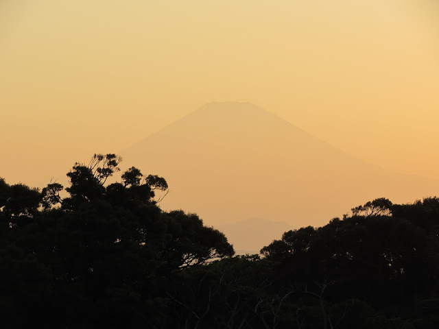 Fuji-san