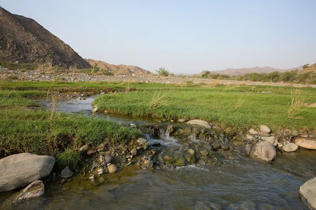 جداول المياه في جبال السروات