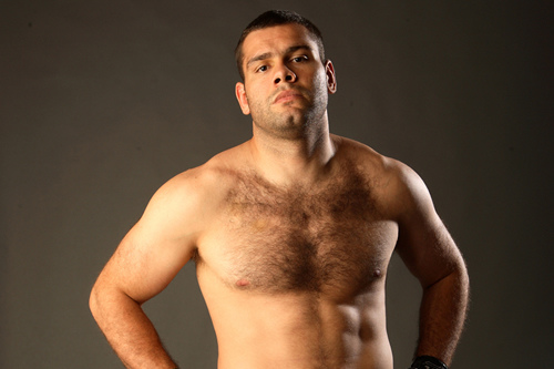 ufc mma heavyweight fighter gabriel gonzaga picture image