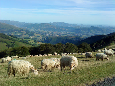 by E.V.Pita....St. James Way: from St Jean Pied de Port to Roncesvalles / por E.V.Pita.... El Camino Francés por los Pirineos a Roncesvalles / por E.V.Pita.... O Camiño por Roncesvalles