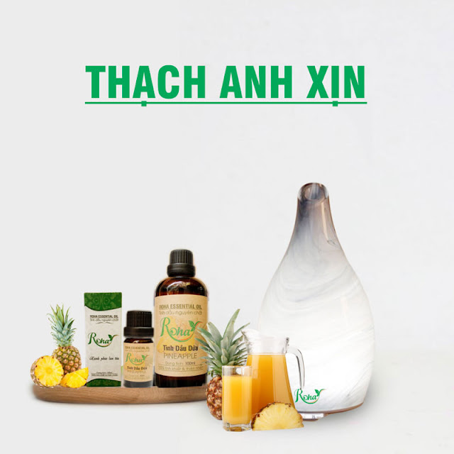 Máy Khuếch Tán Tinh Dầu Thạch Anh Xịn