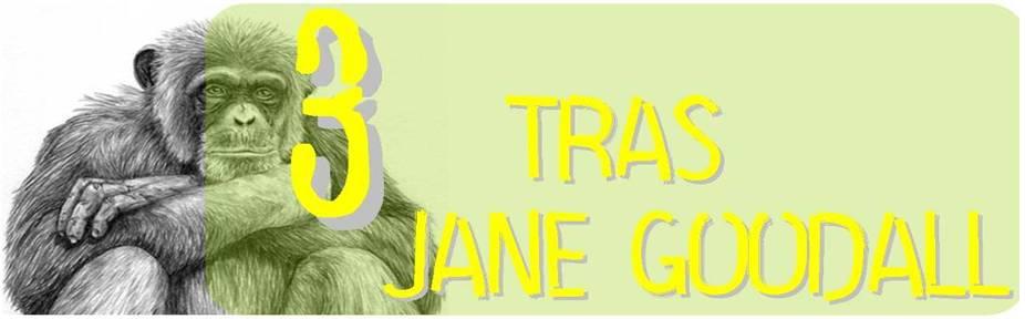 Tres tras Jane Goodall