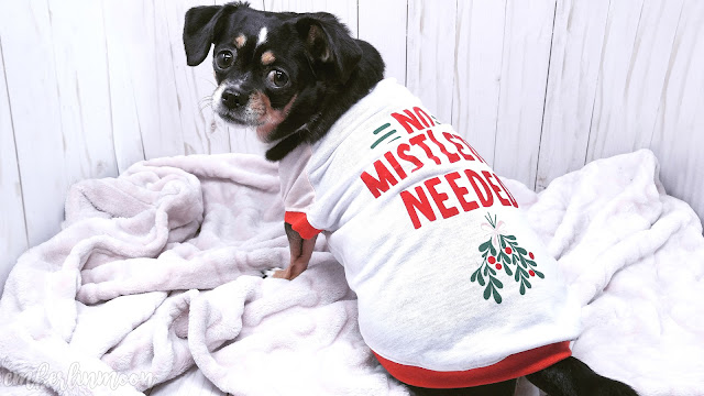 Merry & Bright Holiday "No Mistletoe Needed" Pet Tee & Sock Set