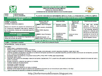 Ejemplo De Proceso De Atencion De Enfermeria