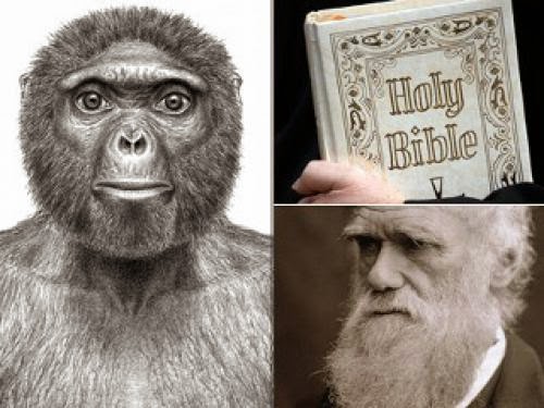 Did God Use Evolution
