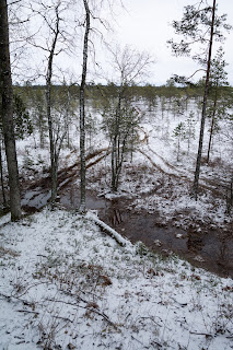 ATV jäljed Ohepalu järve lähistel rabas